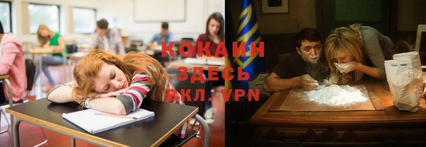 гашик Вяземский