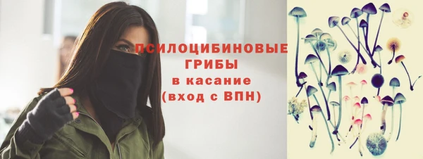 гашик Вяземский