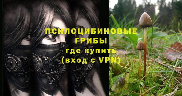 первитин Тавда