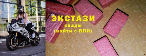 гашик Вяземский