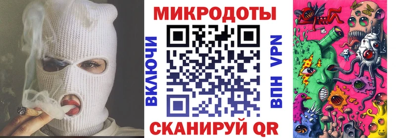 закладки Жиздра Галлюциногенные грибы Psilocybe