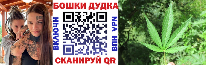 закладки  Жиздра  Бошки Шишки Ganja 